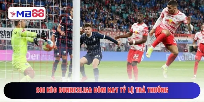 Soi kèo Bundesliga hôm nay tỷ lệ trả thưởng 