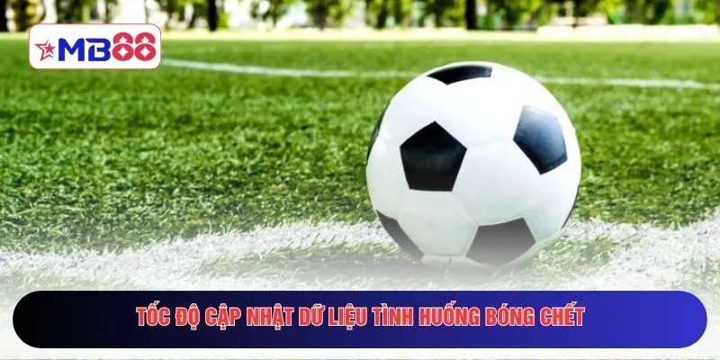 Tốc độ cập nhật dữ liệu tình huống bóng chết 
